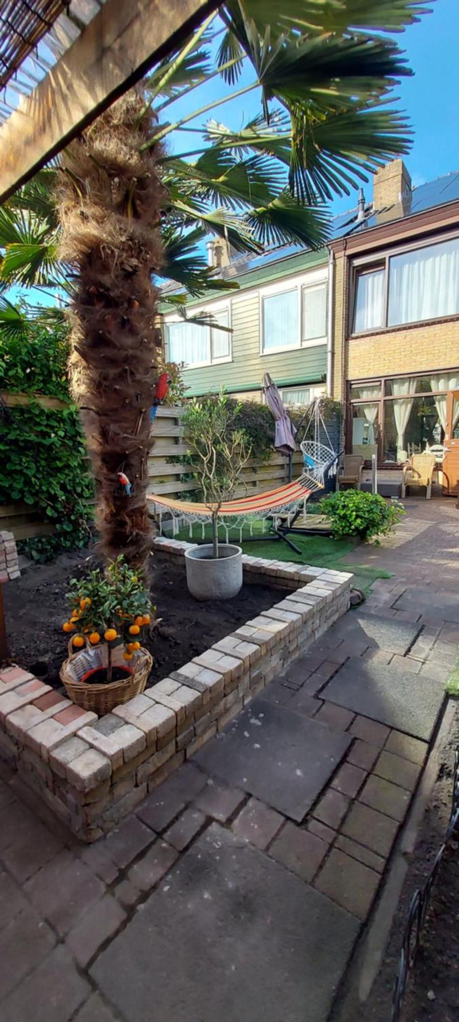 מאס-סלאוס Cozy Room In Host House Near Rotterdam מראה חיצוני תמונה